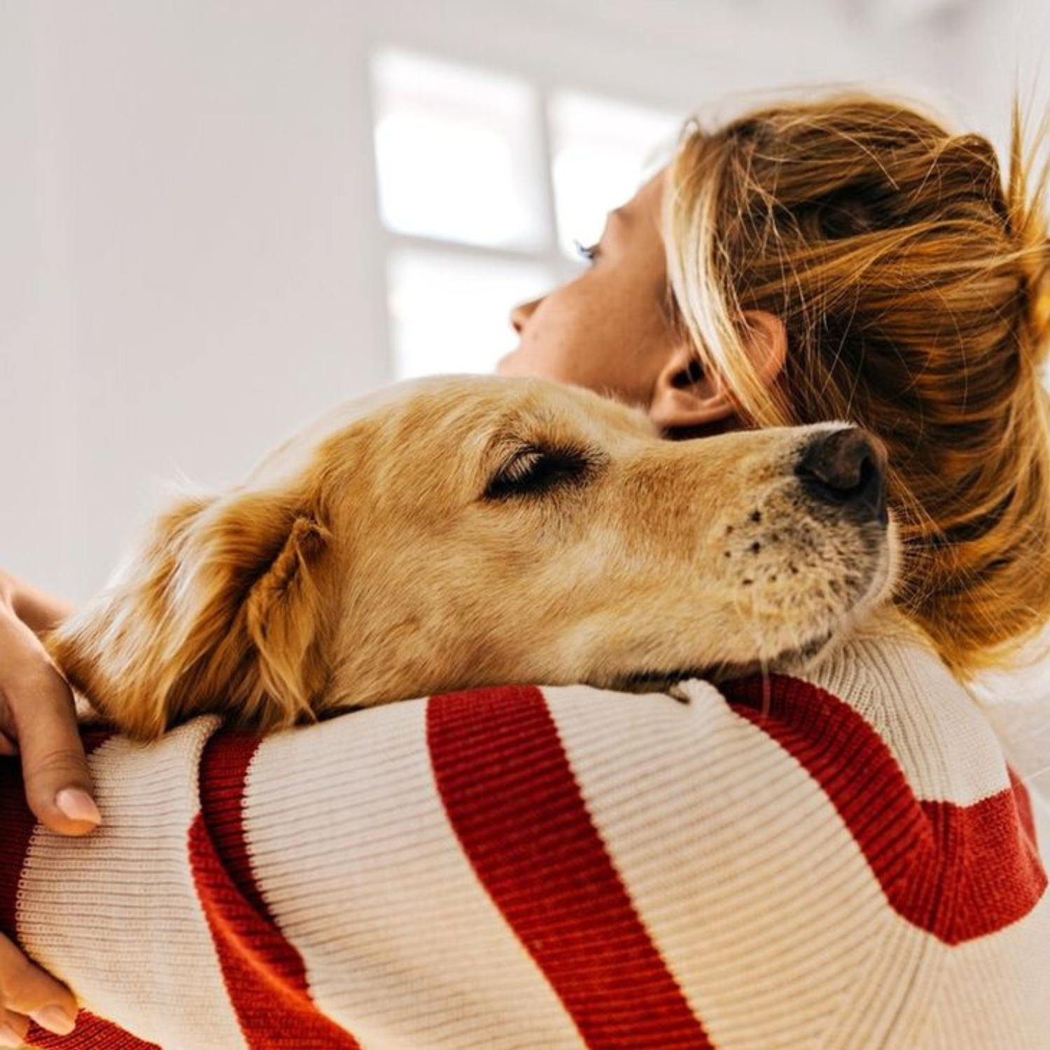 Signs Your Dog May Be Slowing Down With Age