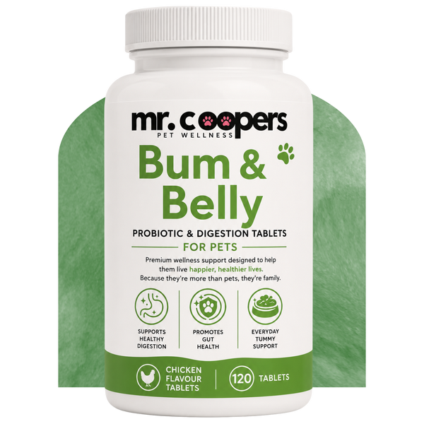 Bum & Belly
