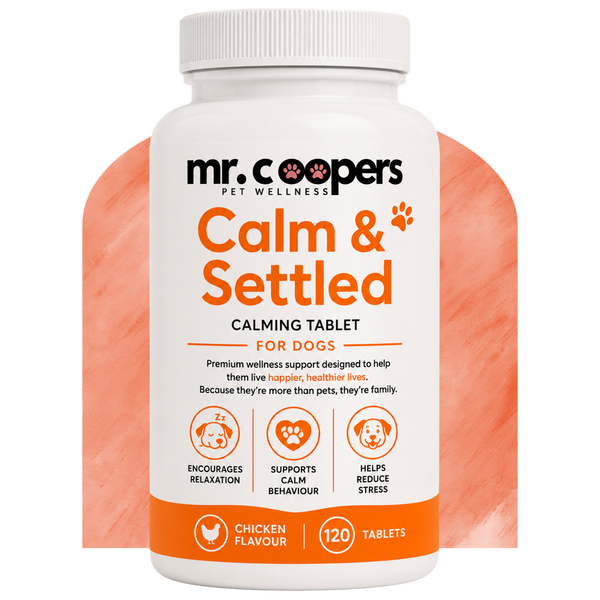 Calm & Settled