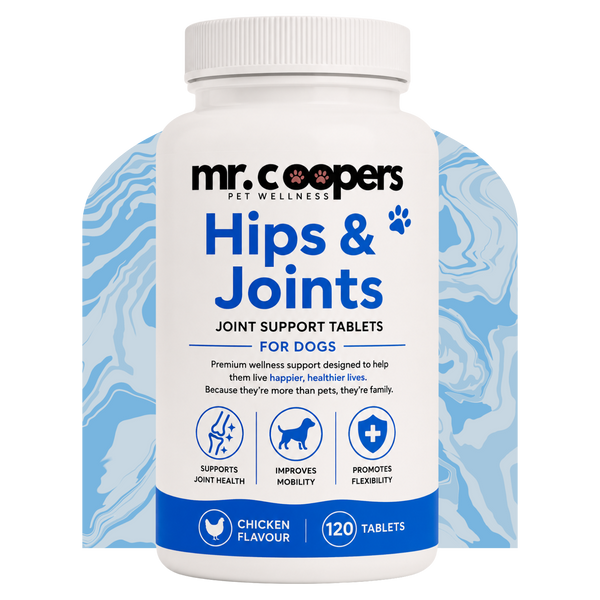 Hips & Joints